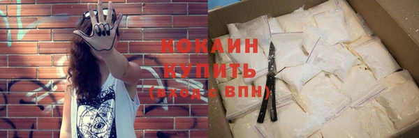 apvp Ельня