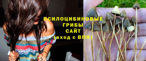 молекула духа Карпинск