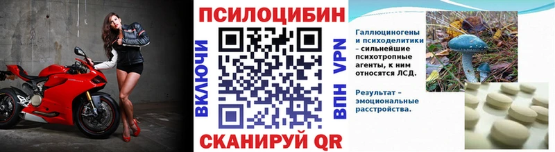 закладка  darknet состав  Галлюциногенные грибы Psilocybine cubensis  Кемь 